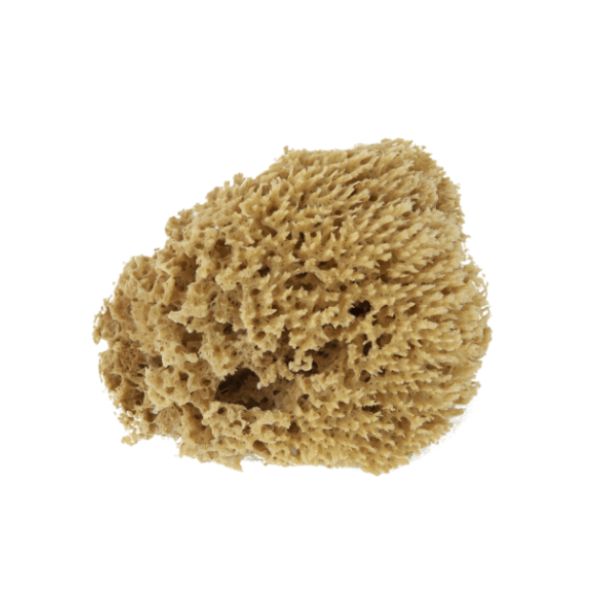 ESPONJA NATURAL